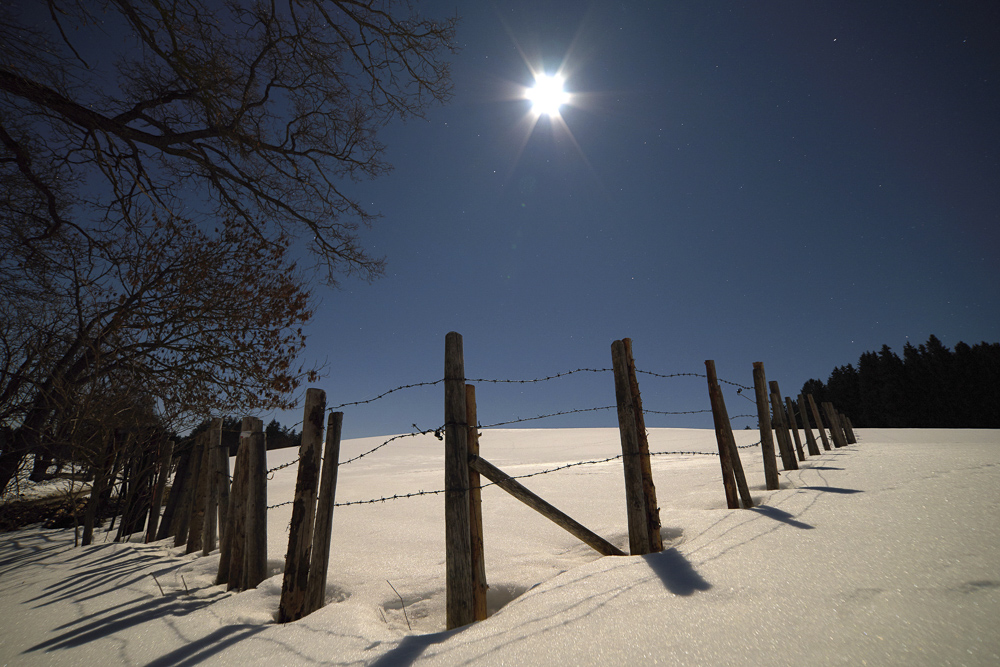 Platz 12 Klaus Koenig